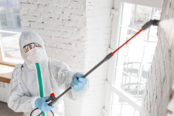 Best Mold-Related Health Consultation  in Canyonville, OR