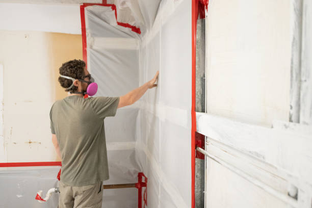 Best Mold Damage Restoration  in Canyonville, OR