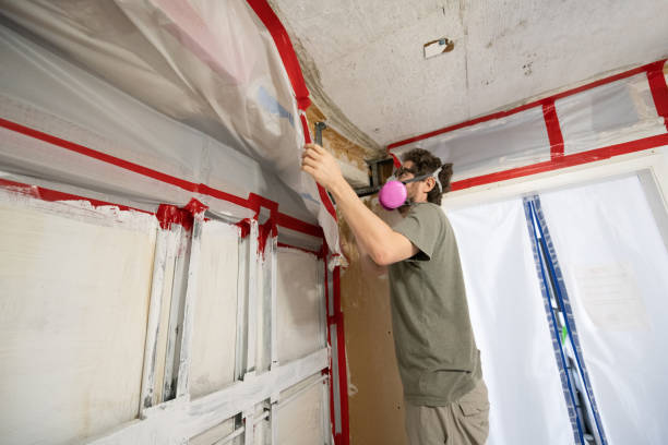 Best Comprehensive Air Testing for Mold Contaminants  in Canyonville, OR