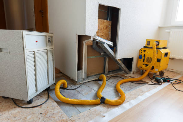 Best Biohazard Mold Removal  in Canyonville, OR